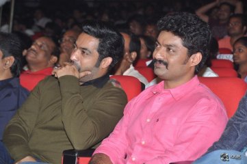 Temper Movie Audio Launch